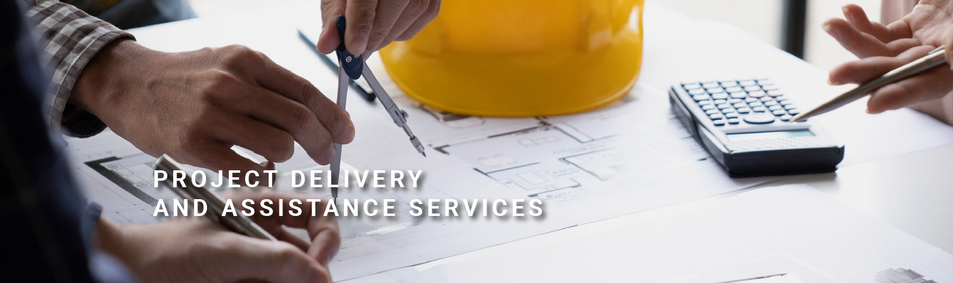 Project Delivery and Assistance Services